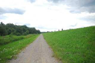 S01_0453.NEF