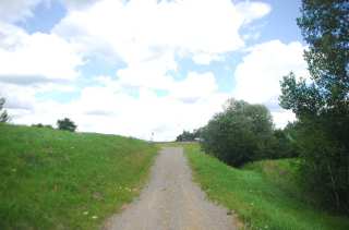 S01_0454.NEF