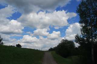 S01_0455.NEF
