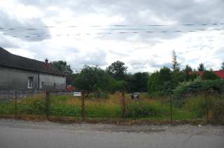 S01_0465.NEF