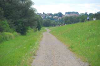 S01_0482.NEF