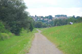 S01_0483.NEF