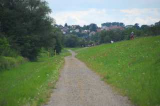 S01_0484.NEF