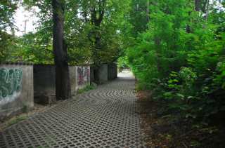 S01_0530.NEF
