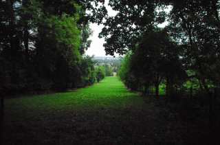 S01_0538.NEF