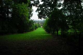 S01_0540.NEF