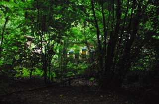 S01_0541.NEF