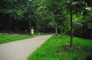 S01_0560.NEF