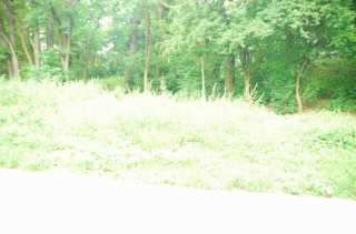S01_0561.NEF