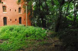 S01_0582.NEF