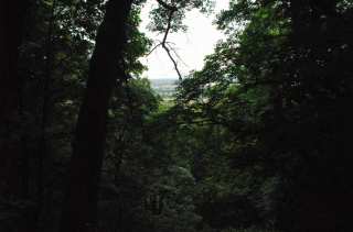S01_0598.NEF