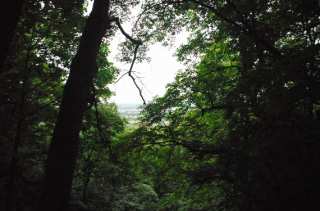 S01_0600.NEF