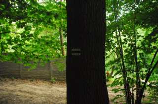 S01_0605.NEF