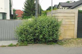 S01_0614.NEF