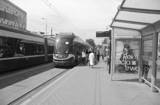 S01_0667.NEF