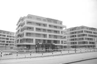 S01_0693.NEF