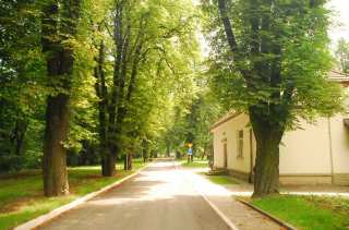 S01_0706.NEF