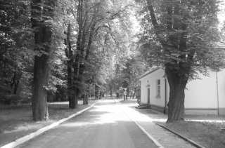 S01_0708.NEF