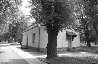 S01_0709.NEF