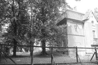 S01_0729.NEF