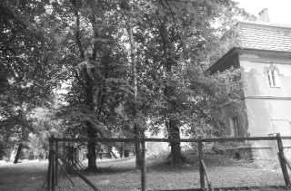 S01_0730.NEF