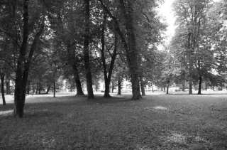 S01_0731.NEF