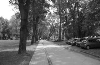 S01_0732.NEF