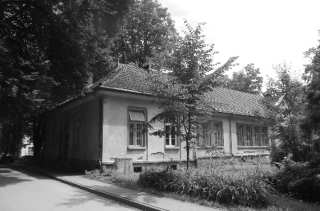 S01_0736.NEF