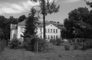 S01_0740.NEF