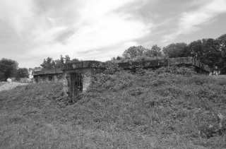 S01_0743.NEF