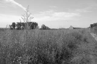 S01_0746.NEF