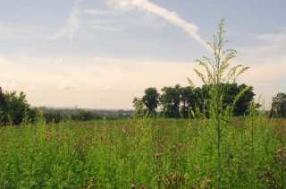 S01_0748.NEF