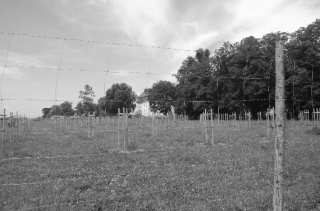 S01_0749.NEF