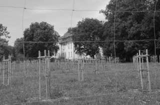 S01_0750.NEF