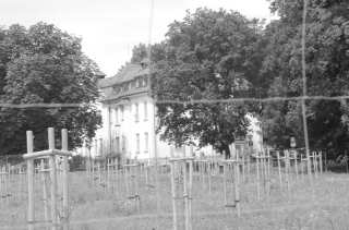 S01_0751.NEF