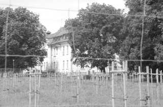 S01_0752.NEF