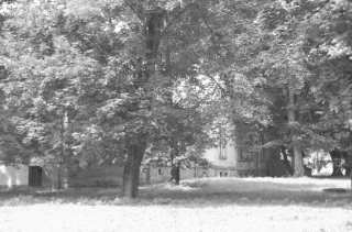 S01_0753.NEF