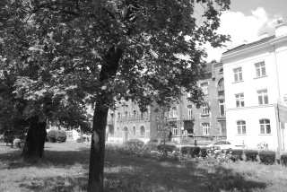 S01_0837.JPG