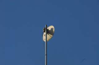 S01_0934.NEF