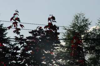 S01_0940.NEF