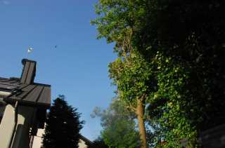 S01_0942.NEF