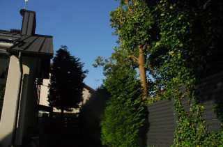 S01_0943.NEF