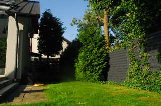 S01_0944.NEF