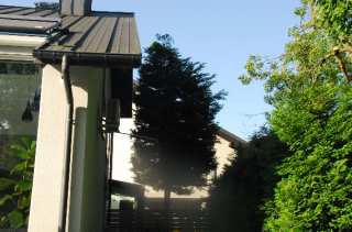 S01_0959.NEF