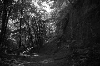 S01_0972.NEF