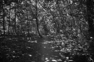 S01_0974.NEF