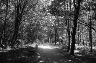 S01_0976.NEF