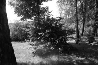 S01_0978.NEF