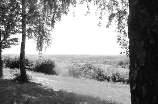 S01_0979.NEF