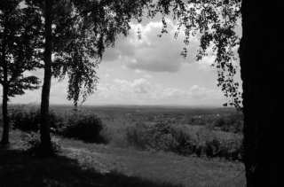 S01_0980.NEF